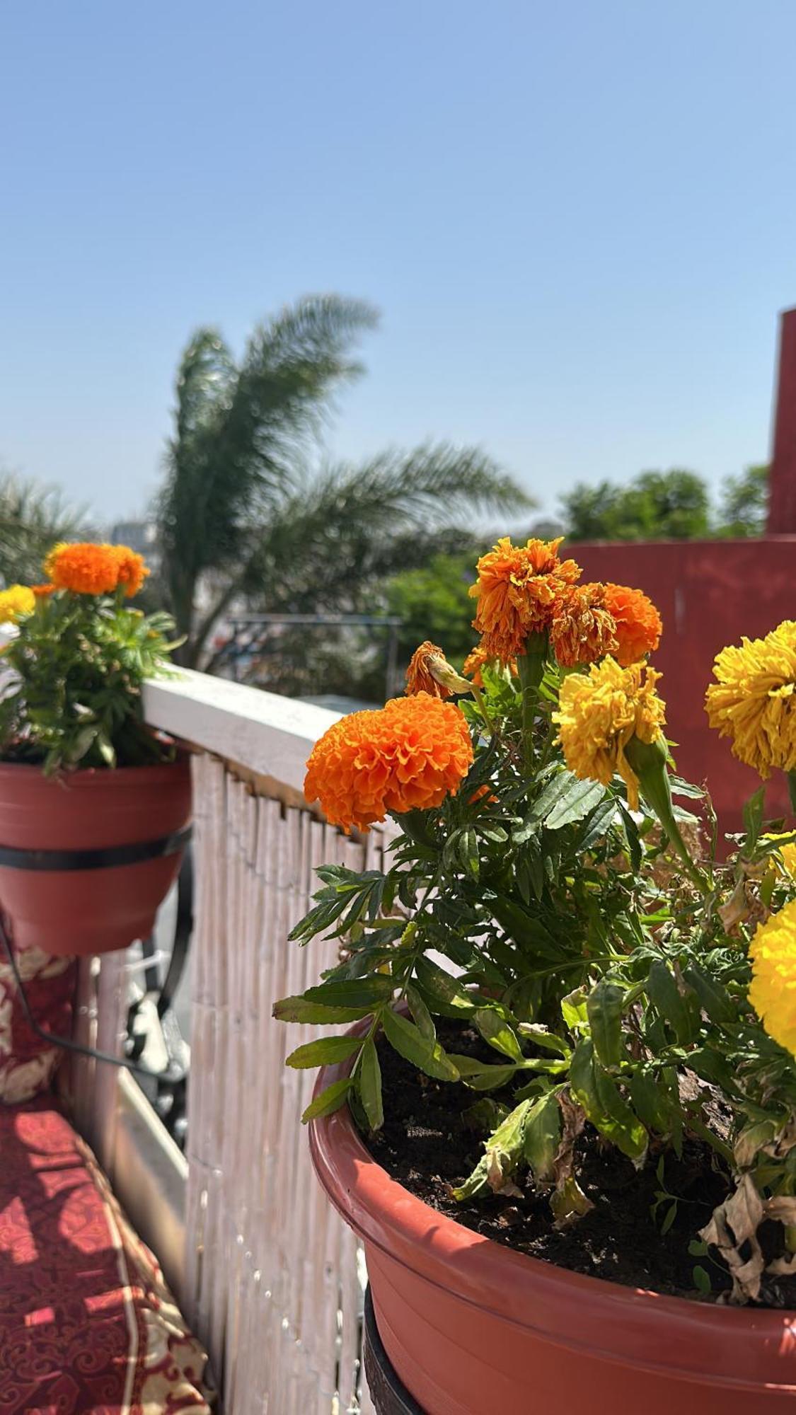 Villa House With Sea View In Kasbah Tanger Exterior foto